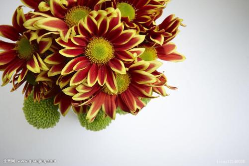 й½ϳƫ ȫůorȫ䣿