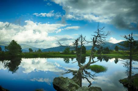 վƻش羳Ĳ 永ʽ4.4